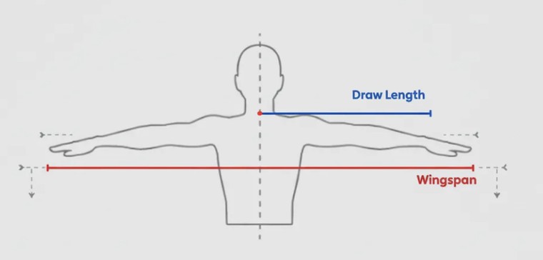 Draw length vs. wingspan estimation rule of thumb Diagram of an archer with arms spread showing the wingspan divided by 2.5 rule of thumb used to estimate draw length before a real fitting