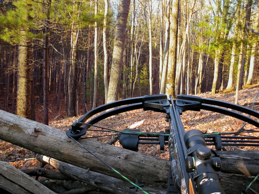 A pre-cocked crossbow held ready in a rest position A crossbow resting on a fallen log in autumn woods, aimed through a scope toward a shooting lane