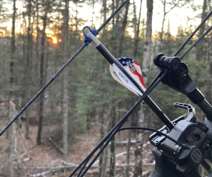 Arrow nocked on a compound bow string with sunset light through the trees behind it