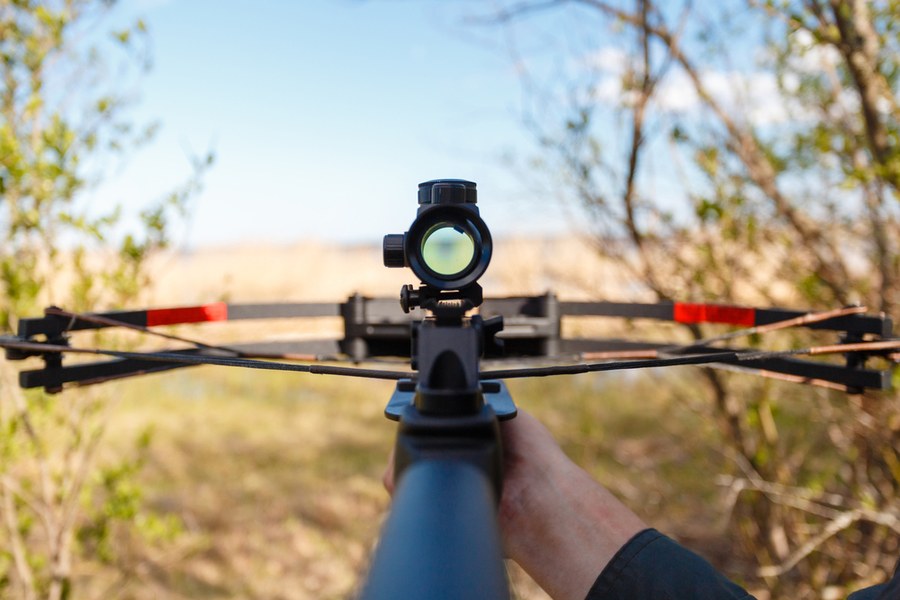 Point-of-view down a crossbow's rail and red-dot sight, aimed across an open field
