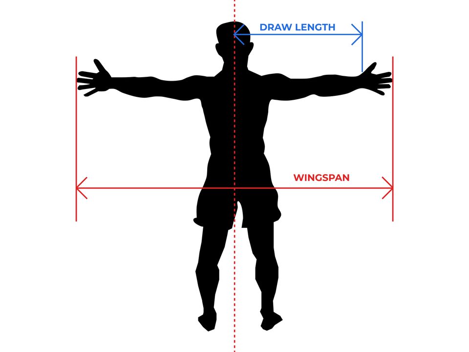 Wingspan vs. draw length measurement diagram Diagram of an archer in a T-pose with a dashed center line, wingspan marked fingertip to fingertip across the full span, and draw length marked from the center line out to one hand