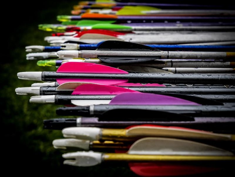Row of arrows fletched with different colored vanes lined up side by side