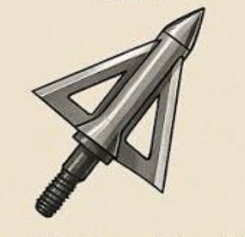 Fixed blade broadhead Fixed blade broadhead illustration showing a rigid three-blade cut-on-contact head with no moving parts