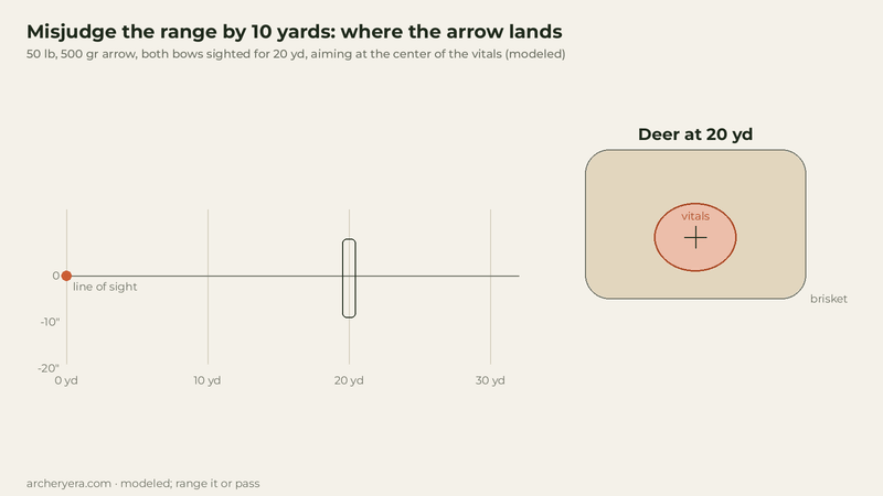 Animated side view and target view for 50-pound bows with 500-grain arrows sighted for 20 yards: at 20 yards both arrows hit the center of a deer&rsquo;s vitals, at 25 yards they land 6.2 and 7.7 inches low at the bottom edge of the vitals, at 30 yards 14.9 and 18.6 inches low, under the chest