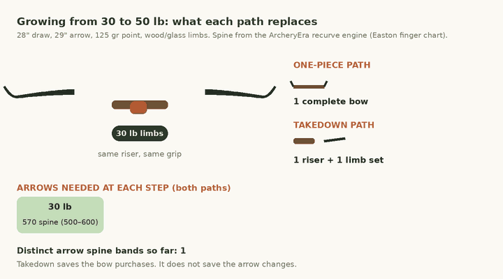 Animation: limbs on one riser swap from 30 to 50 pounds in 5 pound steps while a counter shows five one-piece bows versus one riser and five limb sets, and arrow spine chips change from 570 to 397 across three spine bands