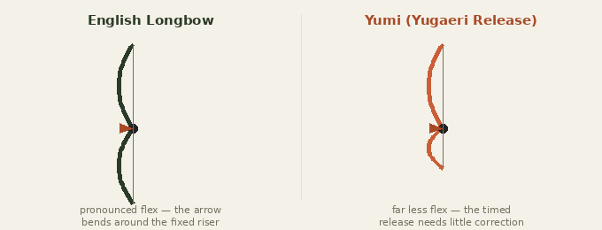 Archer's paradox: arrow flex compared Animated diagram comparing arrow flex at release: an English longbow's arrow bending sharply around the fixed riser versus a Yumi's arrow showing far less flex