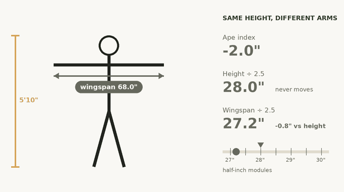 Animated diagram: a 5 foot 10 inch figure whose arms grow from a 68 to a 70 to a 74 inch wingspan. Height divided by 2.5 stays at 28.0 inches while wingspan divided by 2.5 climbs from 27.2 to 29.6 inches, sliding across five half-inch module steps.