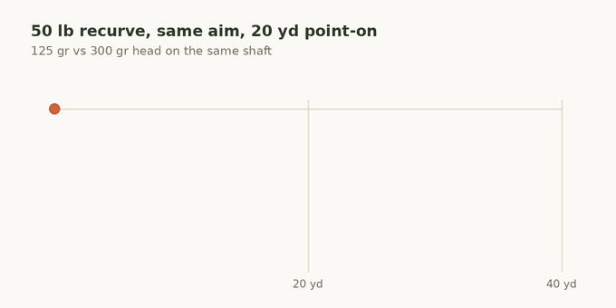 Animated trajectory: two arrows from a 50 lb recurve sighted for 20 yards. The 125 grain head lands 44 inches low at 40 yards; the 300 grain head lands 61 inches low.