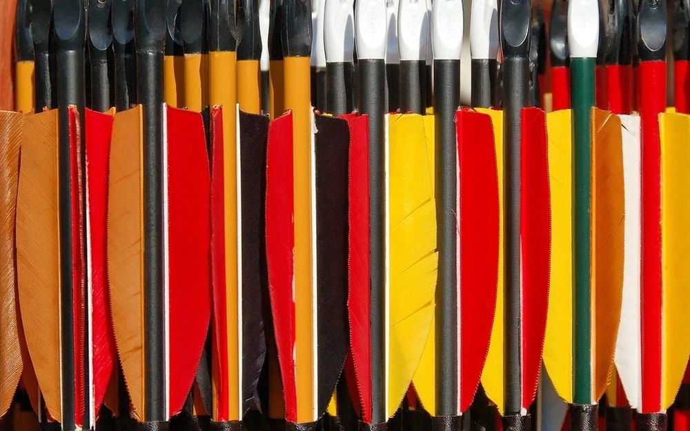 Fletched arrows lined up on a rack, feather and vane fletchings side by side