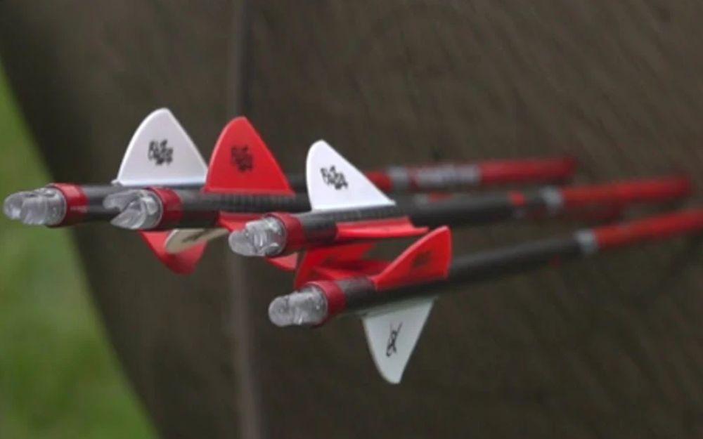 Three carbon arrows in flight, red and white vanes catching the light