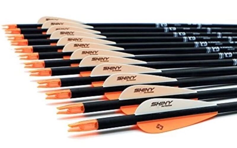 A dozen carbon hunting arrows with white and orange vanes, fanned out