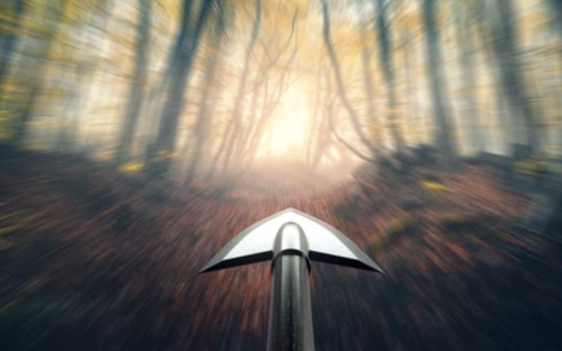 A first-person view down a forest shooting lane racing toward a sunlit clearing