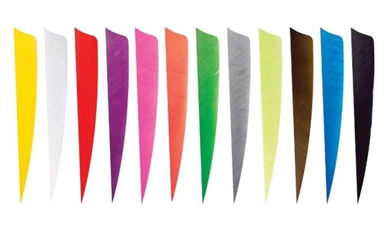 Fourteen feather fletchings in different colours laid side by side Fourteen feather fletchings in different colours laid side by side