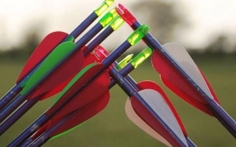 A handful of arrows with red, white and green vanes held up outdoors A handful of arrows with red, white and green vanes held up outdoors
