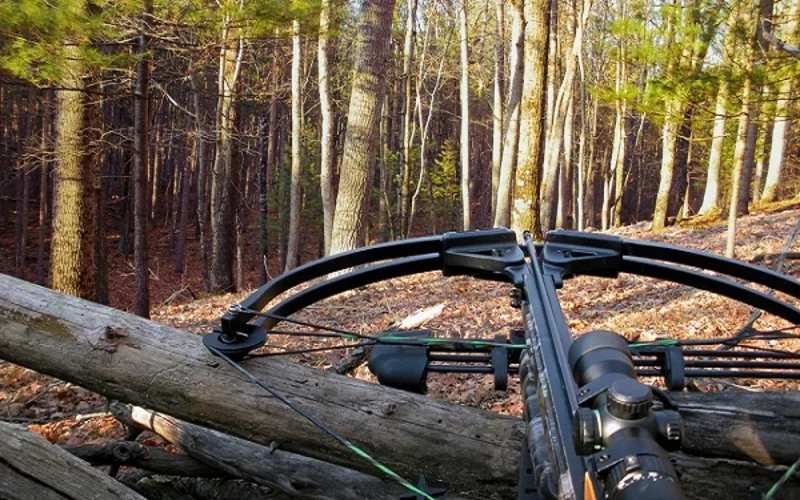 A crossbow resting on a fallen log in bare winter woods