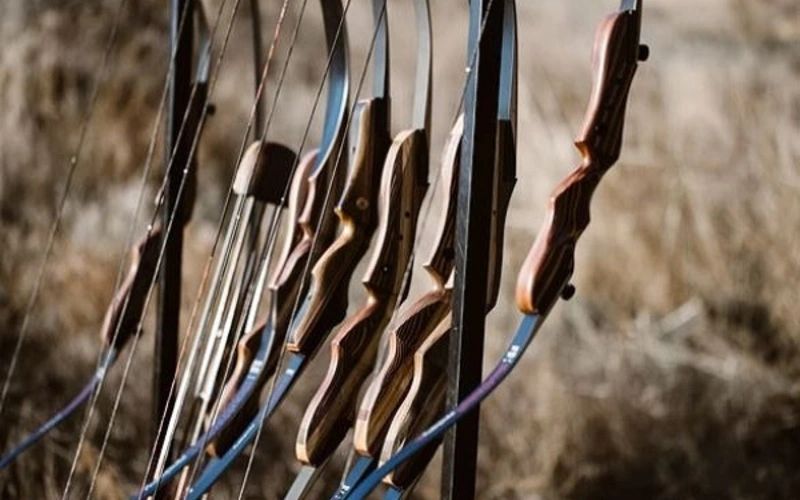 A rack of wooden-riser recurve bows strung and standing in dry grass